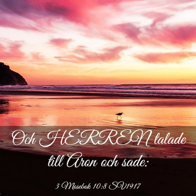 Picture 03 - 3 Mosebok 10:8 SV1917 - Och HERREN talade till Aron och - Bible Verse Picture