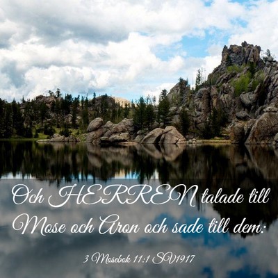 Picture 03 - 3 Mosebok 11:1 SV1917 - Och HERREN talade till Mose och Aron och sade - Bible Verse Picture