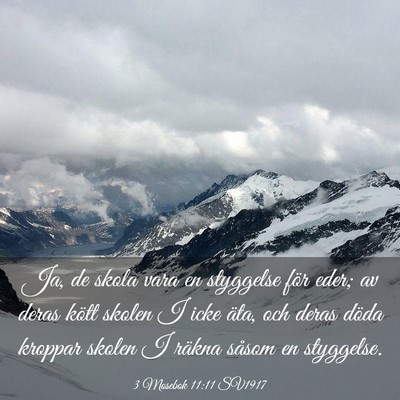 Picture 03 - 3 Mosebok 11:11 SV1917 - Ja, de skola vara en styggelse för eder; av - Bible Verse Picture