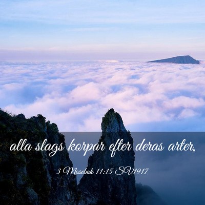 Picture 03 - 3 Mosebok 11:15 SV1917 - alla slags korpar efter deras - Bible Verse Picture