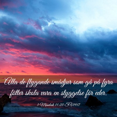 Picture 03 - 3 Mosebok 11:20 SV1917 - Alla de flygande smådjur som gå på fyra - Bible Verse Picture