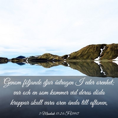 Picture 03 - 3 Mosebok 11:24 SV1917 - Genom följande djur ådragen I eder orenhet; var - Bible Verse Picture