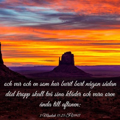 Picture 03 - 3 Mosebok 11:25 SV1917 - och var och en som har burit bort någon sådan - Bible Verse Picture