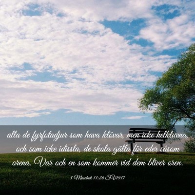 Picture 03 - 3 Mosebok 11:26 SV1917 - alla de fyrfotadjur som hava klövar, men icke - Bible Verse Picture