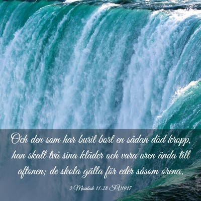 Picture 03 - 3 Mosebok 11:28 SV1917 - Och den som har burit bort en sådan död kropp, - Bible Verse Picture