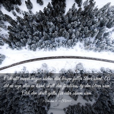 Picture 03 - 3 Mosebok 11:35 SV1917 - Och allt varpå någon sådan död kropp faller - Bible Verse Picture
