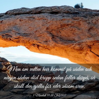 Picture 03 - 3 Mosebok 11:38 SV1917 - Men om vatten har kommit på säden och någon - Bible Verse Picture