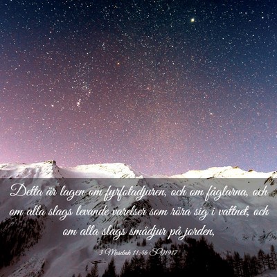 Picture 03 - 3 Mosebok 11:46 SV1917 - Detta är lagen om fyrfotadjuren, och om - Bible Verse Picture
