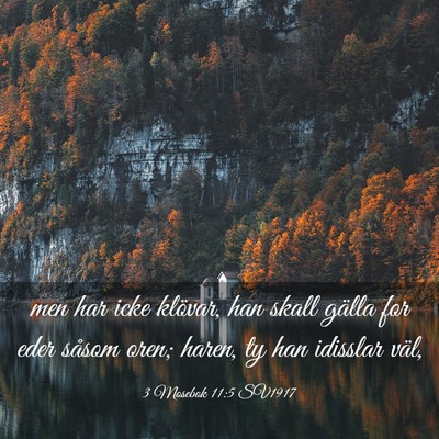 Picture 03 - 3 Mosebok 11:5 SV1917 - men har icke klövar, han skall gälla for eder - Bible Verse Picture