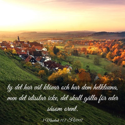 Picture 03 - 3 Mosebok 11:7 SV1917 - ty det har väl klövar och har dem helkluvna, - Bible Verse Picture