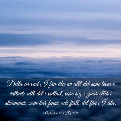 Picture 03 - 3 Mosebok 11:9 SV1917 - Detta är vad I fån äta av allt det som lever i - Bible Verse Picture