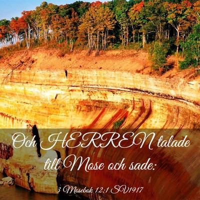 Picture 03 - 3 Mosebok 12:1 SV1917 - Och HERREN talade till Mose och - Bible Verse Picture