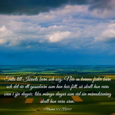 Picture 03 - 3 Mosebok 12:2 SV1917 - Tala till Israels barn och säg: När en kvinna - Bible Verse Picture