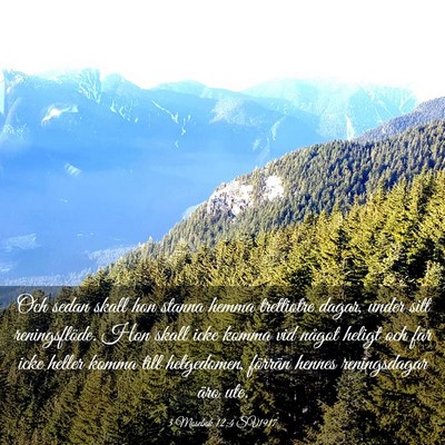 Picture 03 - 3 Mosebok 12:4 SV1917 - Och sedan skall hon stanna hemma trettiotre - Bible Verse Picture