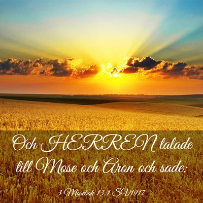 Picture 03 - 3 Mosebok 13:1 SV1917 - Och HERREN talade till Mose och Aron och - Bible Verse Picture