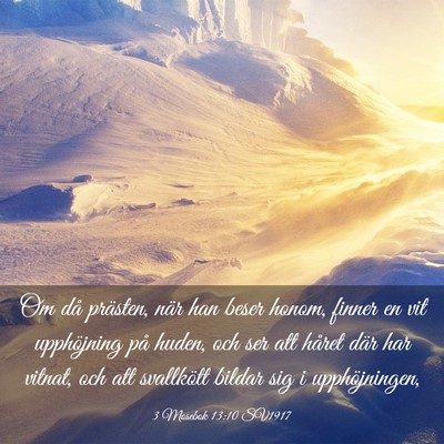 Picture 03 - 3 Mosebok 13:10 SV1917 - Om då prästen, när han beser honom, finner en - Bible Verse Picture
