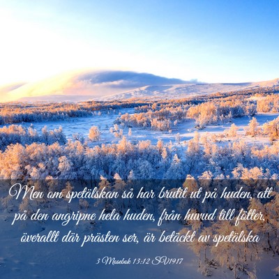 Picture 03 - 3 Mosebok 13:12 SV1917 - Men om spetälskan så har brutit ut på huden, - Bible Verse Picture