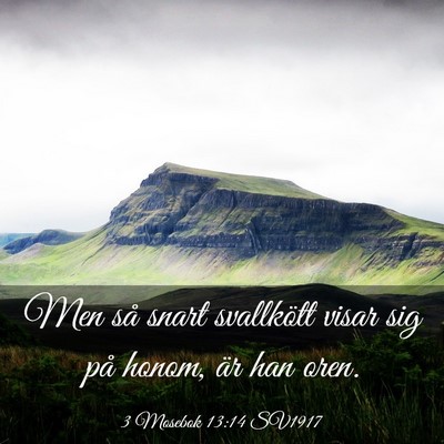 Picture 03 - 3 Mosebok 13:14 SV1917 - Men så snart svallkött visar sig på honom, är - Bible Verse Picture