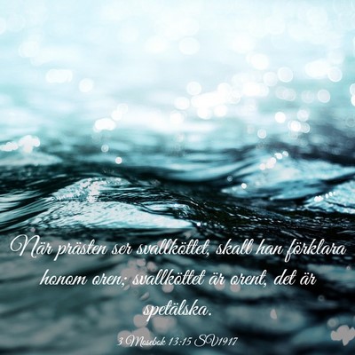 Picture 03 - 3 Mosebok 13:15 SV1917 - När prästen ser svallköttet, skall han - Bible Verse Picture