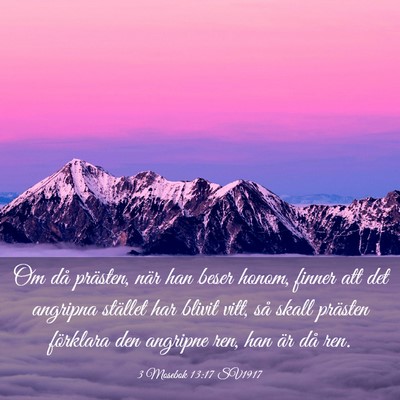 Picture 03 - 3 Mosebok 13:17 SV1917 - Om då prästen, när han beser honom, finner att - Bible Verse Picture