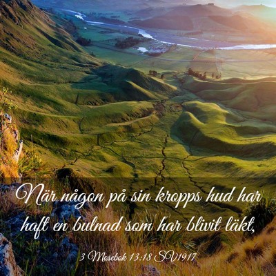 Picture 03 - 3 Mosebok 13:18 SV1917 - När någon på sin kropps hud har haft en bulnad - Bible Verse Picture