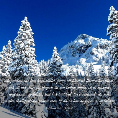 Picture 03 - 3 Mosebok 13:25 SV1917 - och prästen, när han beser stället, finner att - Bible Verse Picture