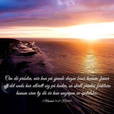 Picture 03 - 3 Mosebok 13:27 SV1917 - Om då prästen, när han på sjunde dagen beser - Bible Verse Picture
