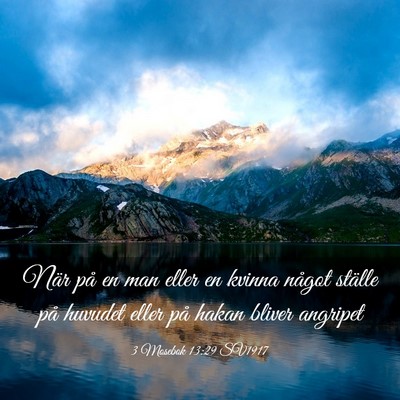Picture 03 - 3 Mosebok 13:29 SV1917 - När på en man eller en kvinna något ställe - Bible Verse Picture