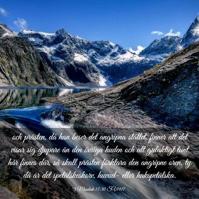 Picture 03 - 3 Mosebok 13:30 SV1917 - och prästen, då han beser det angripna - Bible Verse Picture