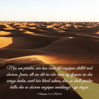 Picture 03 - 3 Mosebok 13:31 SV1917 - Men om prästen, när han beser det angripna - Bible Verse Picture