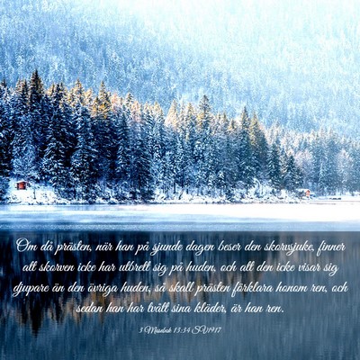 Picture 03 - 3 Mosebok 13:34 SV1917 - Om då prästen, när han på sjunde dagen beser - Bible Verse Picture