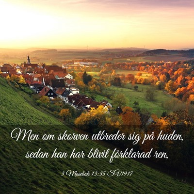 Picture 03 - 3 Mosebok 13:35 SV1917 - Men om skorven utbreder sig på huden, sedan han - Bible Verse Picture