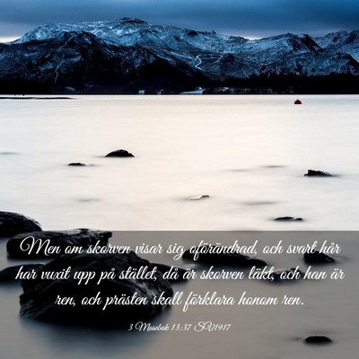 Picture 03 - 3 Mosebok 13:37 SV1917 - Men om skorven visar sig oförändrad, och svart - Bible Verse Picture