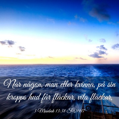 Picture 03 - 3 Mosebok 13:38 SV1917 - När någon, man eller kvinna, på sin kropps hud - Bible Verse Picture
