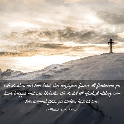 Picture 03 - 3 Mosebok 13:39 SV1917 - och prästen, när han beser den angripne, finner - Bible Verse Picture