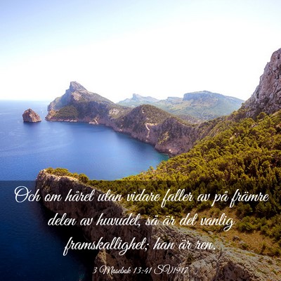 Picture 03 - 3 Mosebok 13:41 SV1917 - Och om håret utan vidare faller av på främre - Bible Verse Picture