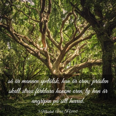 Picture 03 - 3 Mosebok 13:44 SV1917 - så är mannen spetälsk, han är oren; prästen - Bible Verse Picture