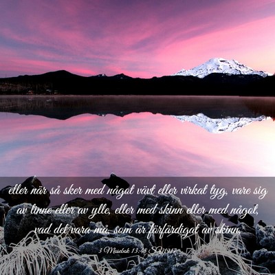 Picture 03 - 3 Mosebok 13:48 SV1917 - eller när så sker med något vävt eller virkat - Bible Verse Picture