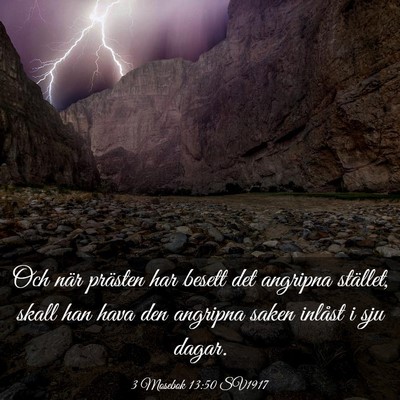 Picture 03 - 3 Mosebok 13:50 SV1917 - Och när prästen har besett det angripna - Bible Verse Picture