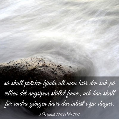Picture 03 - 3 Mosebok 13:54 SV1917 - så skall prästen bjuda att man tvår den sak - Bible Verse Picture