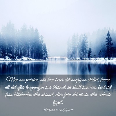 Picture 03 - 3 Mosebok 13:56 SV1917 - Men om prästen, när han beser det angripna - Bible Verse Picture