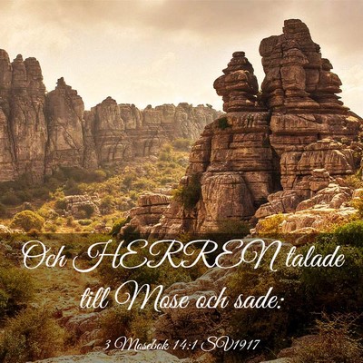 Picture 03 - 3 Mosebok 14:1 SV1917 - Och HERREN talade till Mose och - Bible Verse Picture