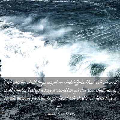 Picture 03 - 3 Mosebok 14:14 SV1917 - Och prästen skall taga något av skuldoffrets - Bible Verse Picture