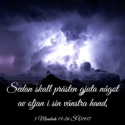 Picture 03 - 3 Mosebok 14:26 SV1917 - Sedan skall prästen gjuta något av oljan i sin - Bible Verse Picture