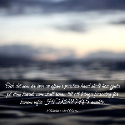 Picture 03 - 3 Mosebok 14:29 SV1917 - Och det som är över av oljan i prästens hand - Bible Verse Picture