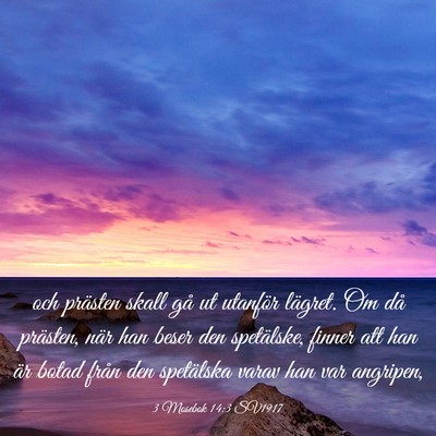Picture 03 - 3 Mosebok 14:3 SV1917 - och prästen skall gå ut utanför lägret. Om - Bible Verse Picture