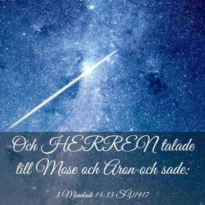 Picture 03 - 3 Mosebok 14:33 SV1917 - Och HERREN talade till Mose och Aron och - Bible Verse Picture