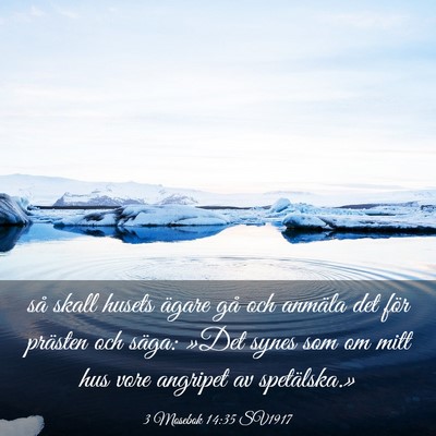 Picture 03 - 3 Mosebok 14:35 SV1917 - så skall husets ägare gå och anmäla det för - Bible Verse Picture