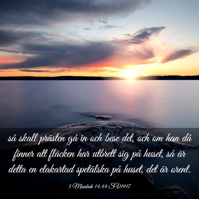 Picture 03 - 3 Mosebok 14:44 SV1917 - så skall prästen gå in och bese det, och om - Bible Verse Picture