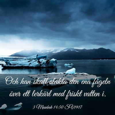 Picture 03 - 3 Mosebok 14:50 SV1917 - Och han skall slakta den ena fågeln över ett - Bible Verse Picture